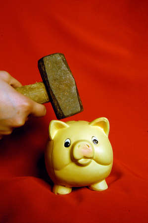 piggy bank for saving money