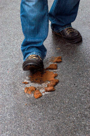 person walking into dog excrement on the street