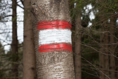 Hiking trail marking in the mountainsの写真素材