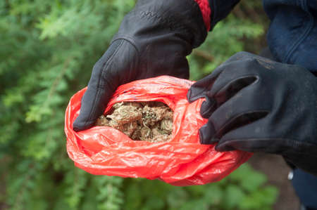 marijuana find of the police