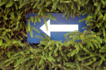 arrow pointing to a direction
