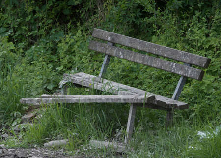 vandalism on a park bench