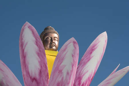 Statue of Buddha, outdoors, blue skyの写真素材