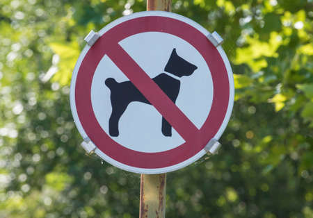 no dogs allowed sign in the parkの写真素材