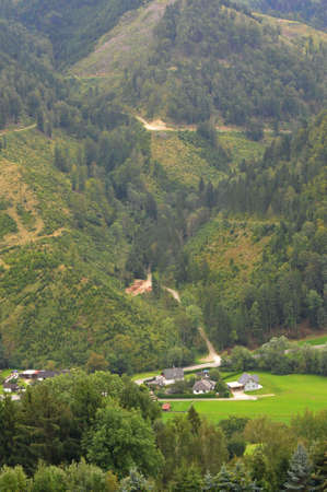 Wood cutting in a forest in mountain region