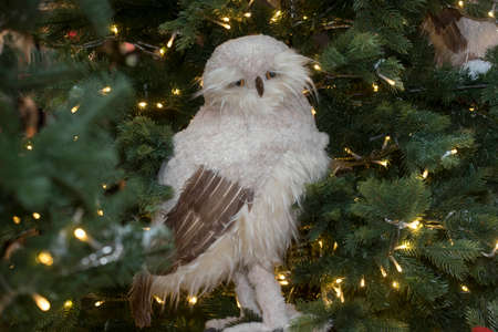 white owl in a christmas tree with a light chainの写真素材