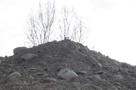 crushed stone and sand as resources in the industrial building sector