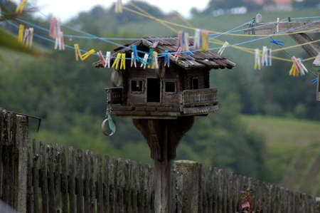 lovely wooden birdhouse in a green garden, clothesline in front