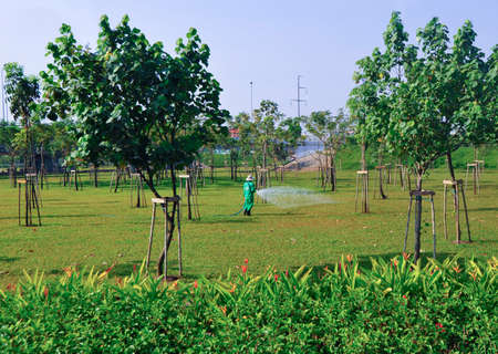 watering plants and the lawn in a big green garden