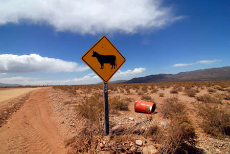 roads and traffic in the national park El Leoncito in Argentinaの写真素材