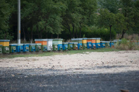agriculture and farming in romania, plant growing and food production