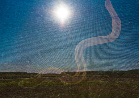 humus production in agriculture for usable land and arable farmingの写真素材