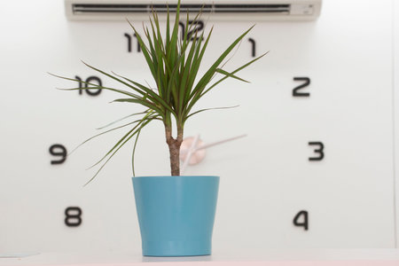a clock for time measurement and planning into the future