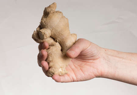 ginger or ginger root, a spice used for cooking and as medicine