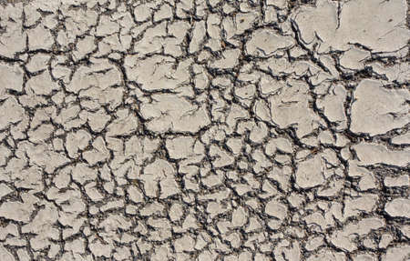 biomorph shapes and structures, pattern and texture on a surface