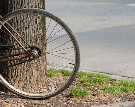 symbol image bike or bicycle, environmentally friendly transportation and mobility