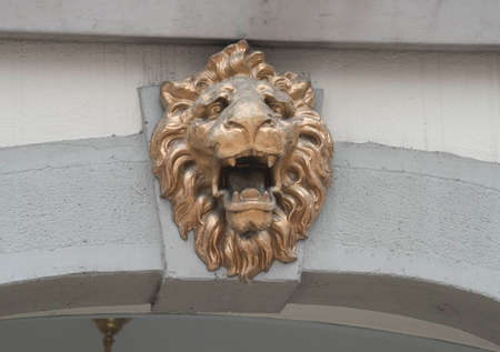a symbol of a lion, image and reproduction of an animal