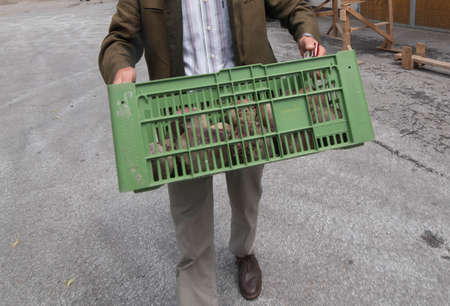 Farmer with a box of freshly harvested vegetables from the fieldの写真素材