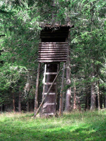 tree stand or deer stand used by hunters in forestryの写真素材