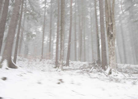 snow and onset of winter, sudden snowfall and snow coverの写真素材