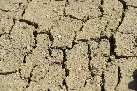 drought because of heat and dryness in the summer time