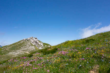 green meadow landscape and land cultivation on a hillside situationの写真素材