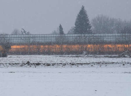a greenhouse or glasshouse for the production of vegetables and plants in winterの写真素材