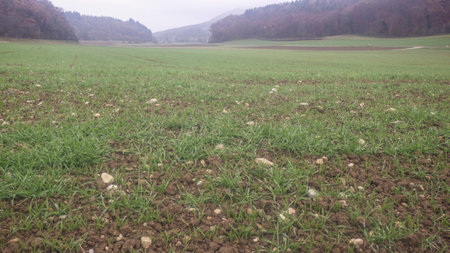 soil on a field in agriculture, usable land and arable farmingの写真素材