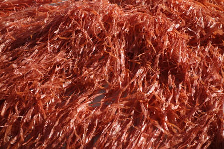 the color red, associated with danger, love, courage and passionの写真素材