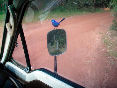 poor visibility in the rear view mirror of a carの写真素材