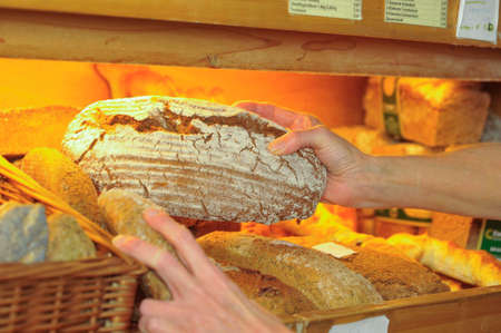 brown bread or wheat bread made with whole grain flour