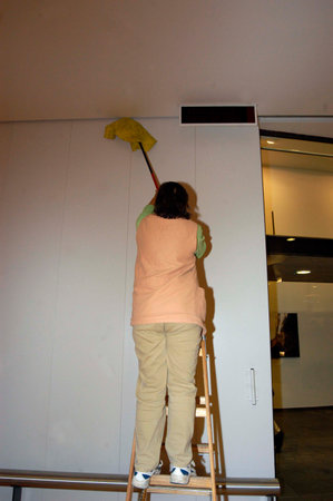 woman cleaning, doing housework and housekeeping, work in the household