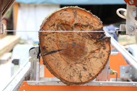 a mobile sawmill for the storage and processing in the wood industryの写真素材