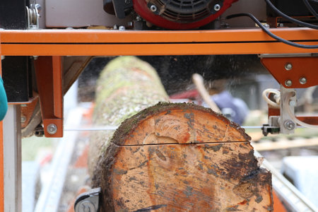 a mobile sawmill for the storage and processing in the wood industryの写真素材
