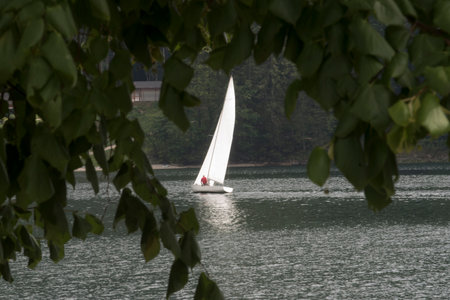 sailing with a sailing boat on the lake, Grundlsee, Austriaの写真素材