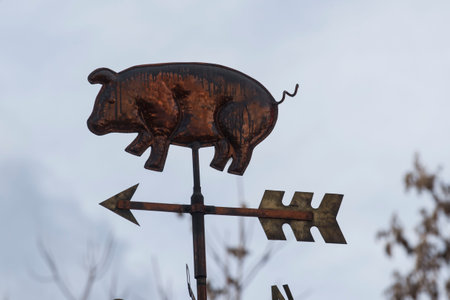 a symbol of a pig, a domestic and farm animalの写真素材