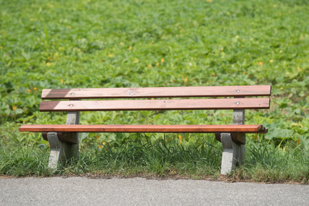 garden bench or park bench, furniture for outdoor seating, relaxing and enjoying natureの写真素材