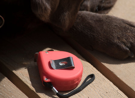 a tape measure or measuring tape for measuring the length