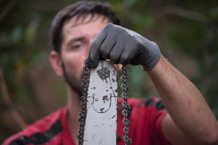 chainsaw for tree cutting or tree pruning as part of tree care