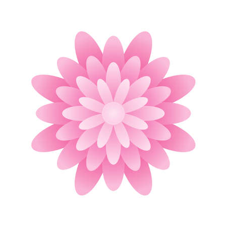 Flower pink signのイラスト素材