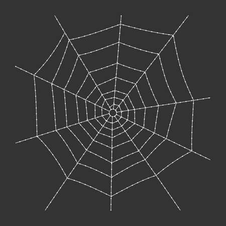 Cobweb on dark backgroundの写真素材
