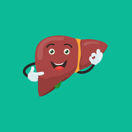 Funny happy liver character show hand sign ok. Cute human internal organ sign. Vector illustration in cartoon styleのイラスト素材