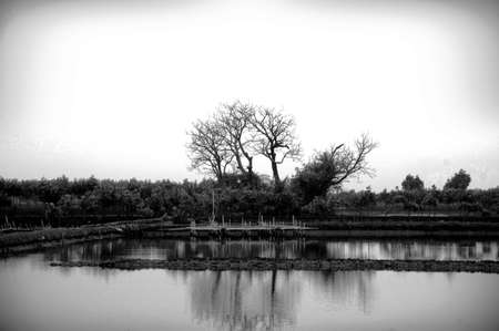 cool morning panoramicの写真素材