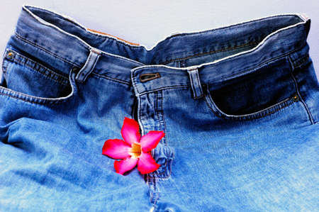blue jeans and red flower in color harmonyの写真素材