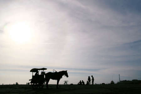 Silhouette of horse carriage on the Parangtritis beachの写真素材