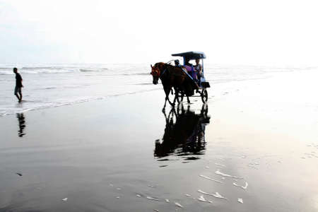 A horse carriagge  horse car  on the Parangtritis beach, Yogyakarta, Indonesiaのeditorial素材