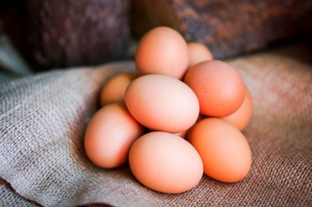 farm raised brown eggsの写真素材