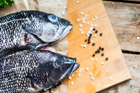 sea bass