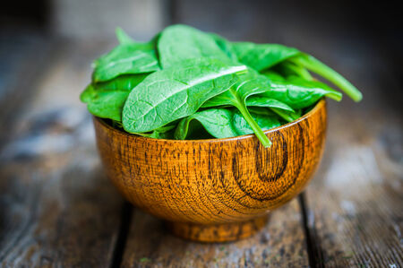 spinachの写真素材