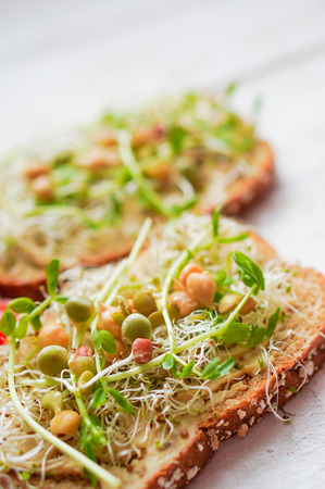 Healthy sandwichesの写真素材